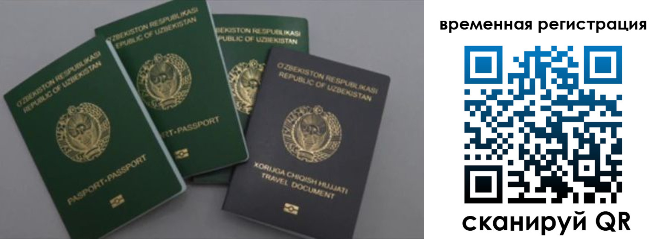регистрация в Светлограде